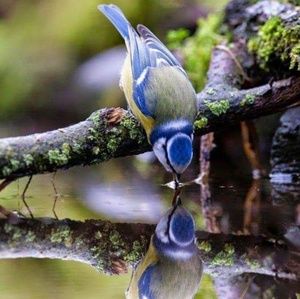 Meet your Posher, Jill